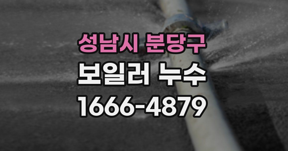 성남시 분당구 보일러 누수