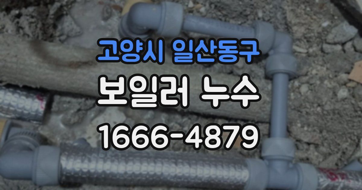 고양시 일산동구 보일러 누수