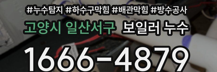 고양시 일산서구 보일러 누수