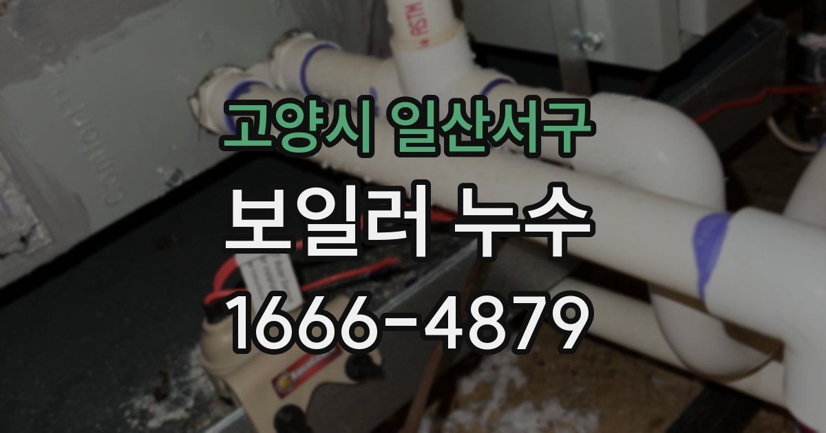 고양시 일산서구 보일러 누수