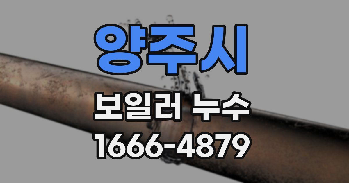 양주시 보일러 누수