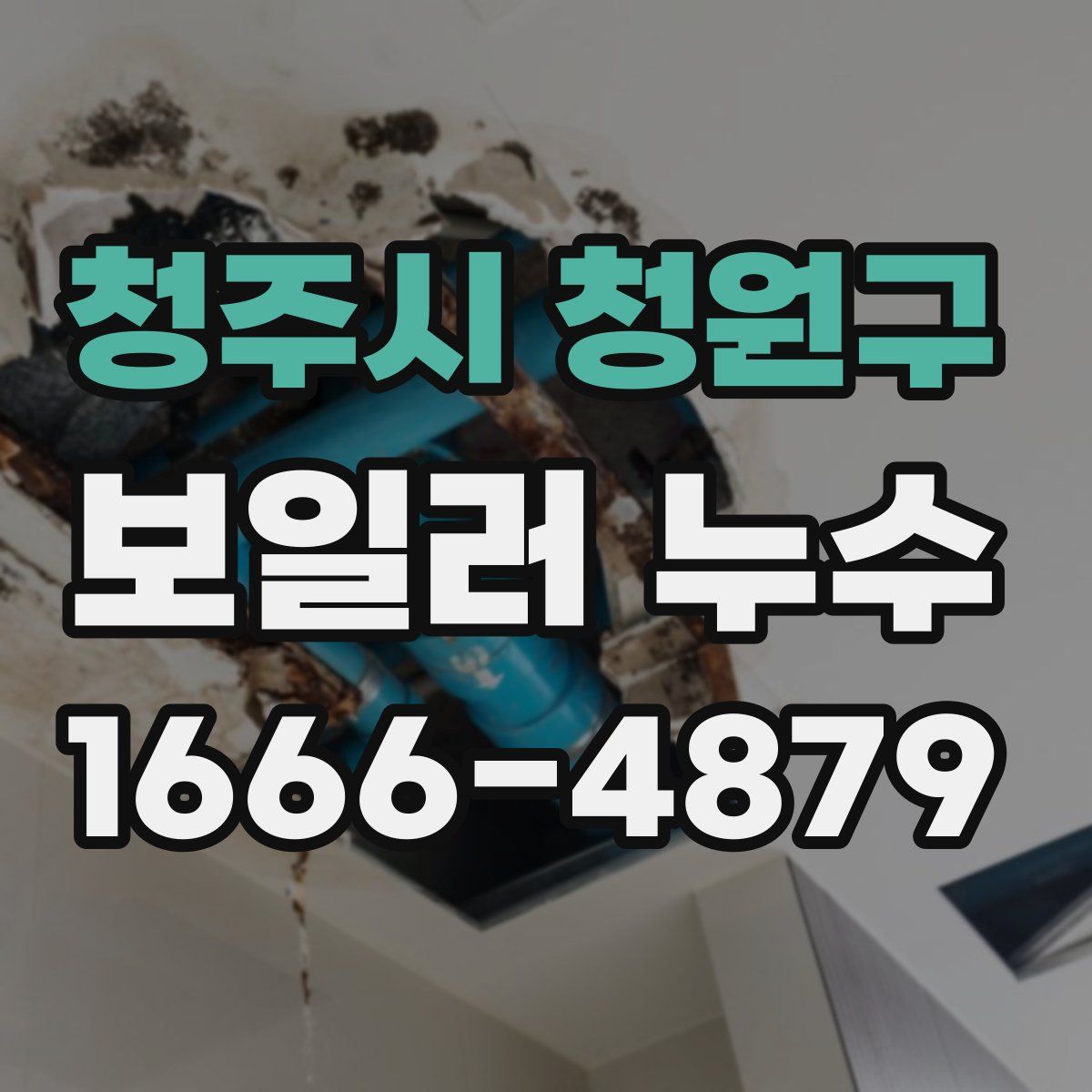 청주시 청원구 보일러 누수