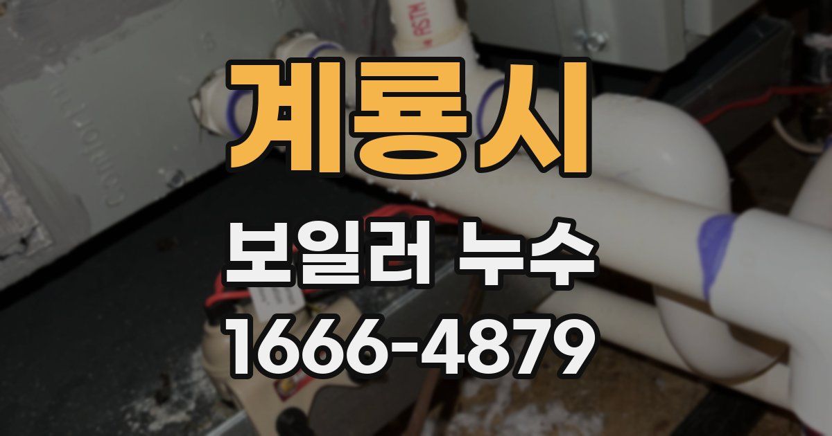 계룡시 보일러 누수