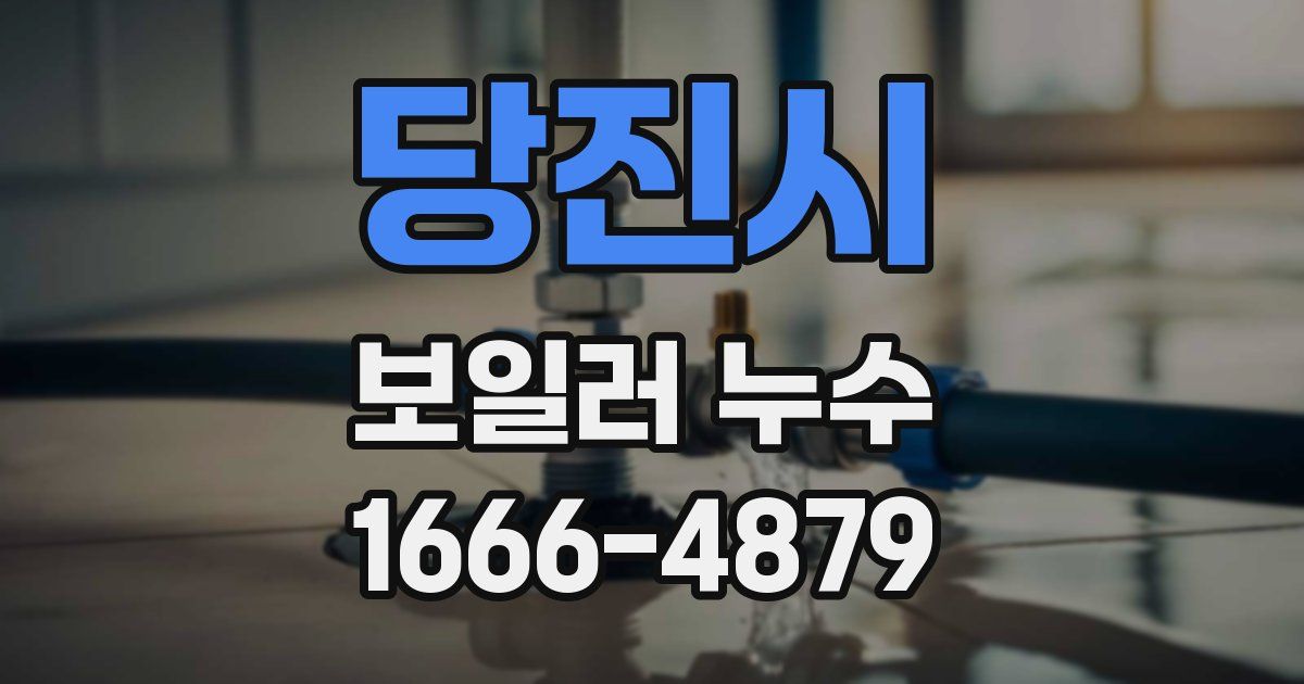 당진시 보일러 누수