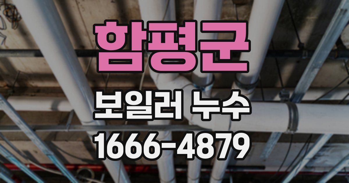 함평군 보일러 누수