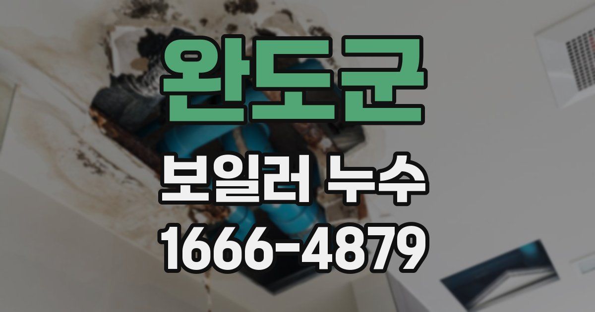 완도군 보일러 누수