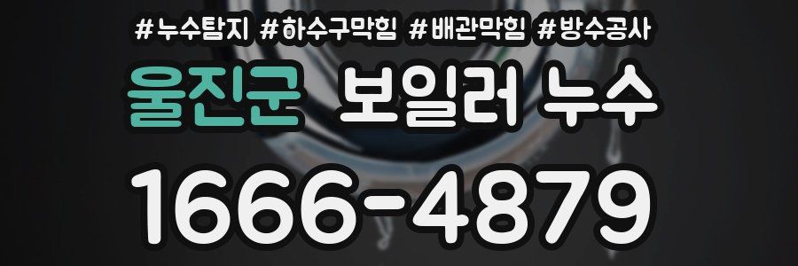 울진군 보일러 누수