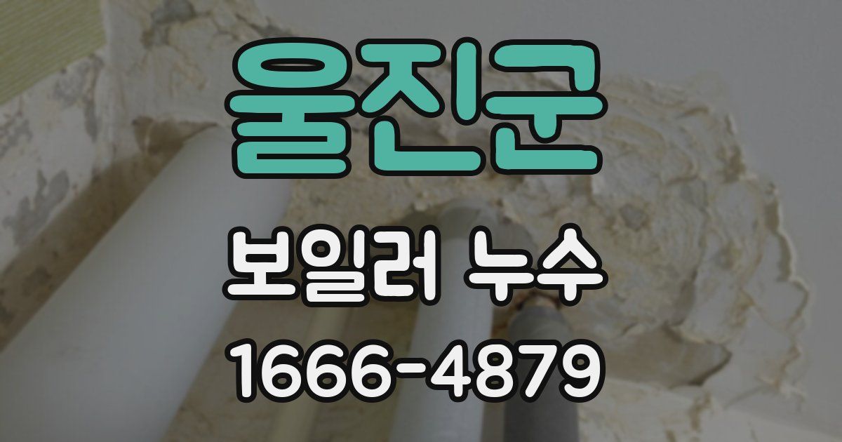 울진군 보일러 누수