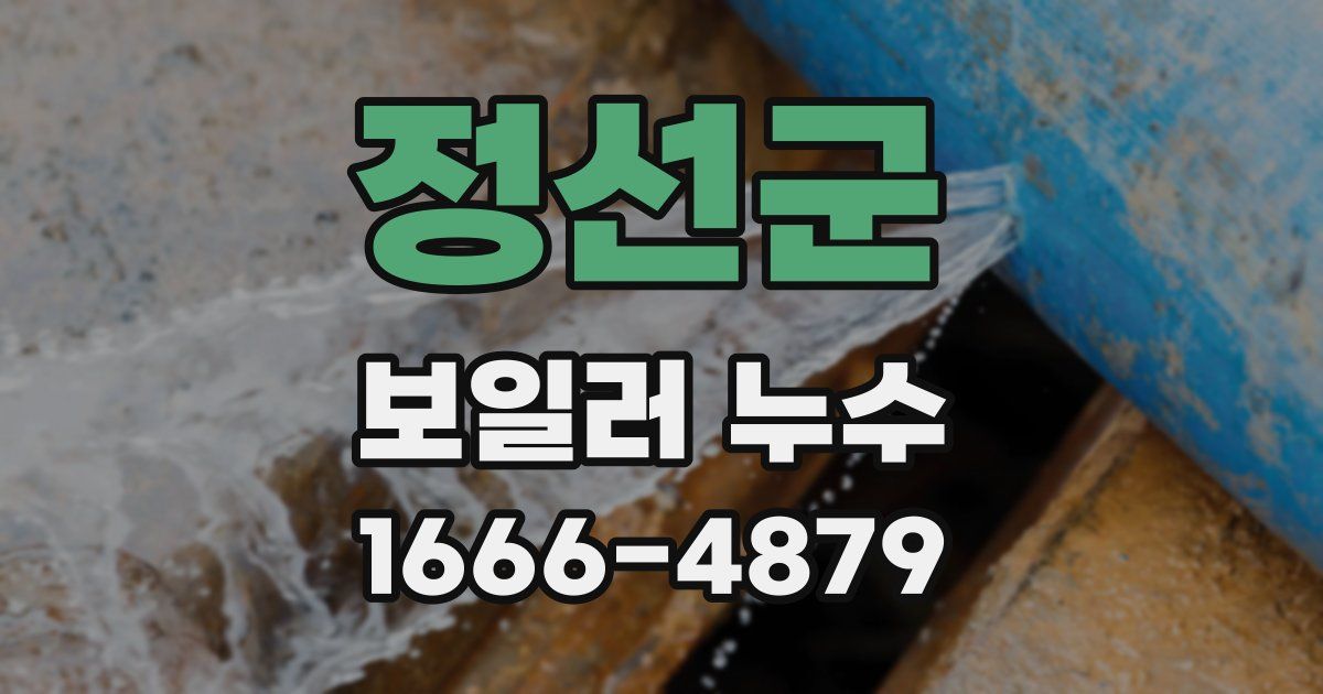 정선군 보일러 누수