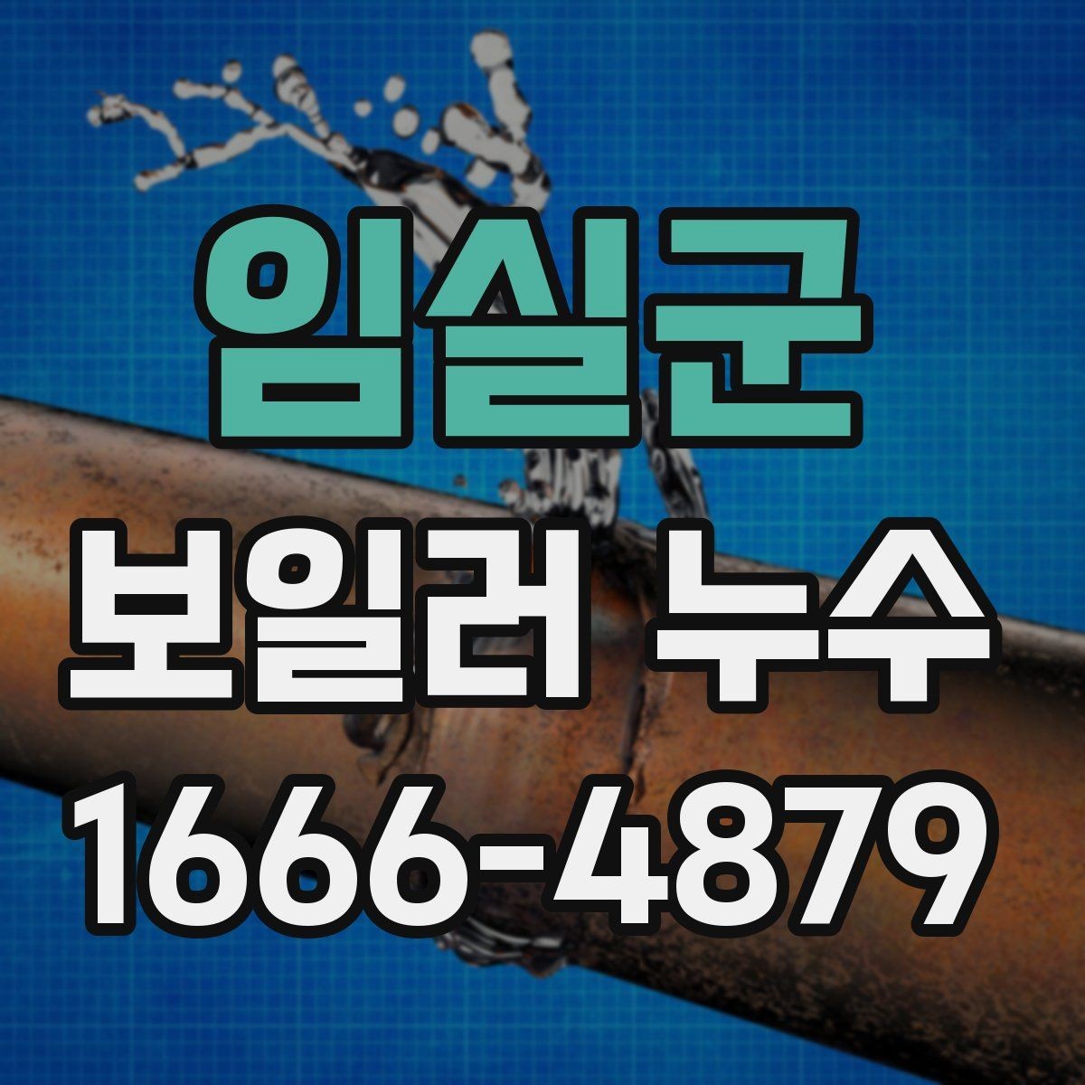 임실군 보일러 누수 확인 과정에서 자주 보는 부위