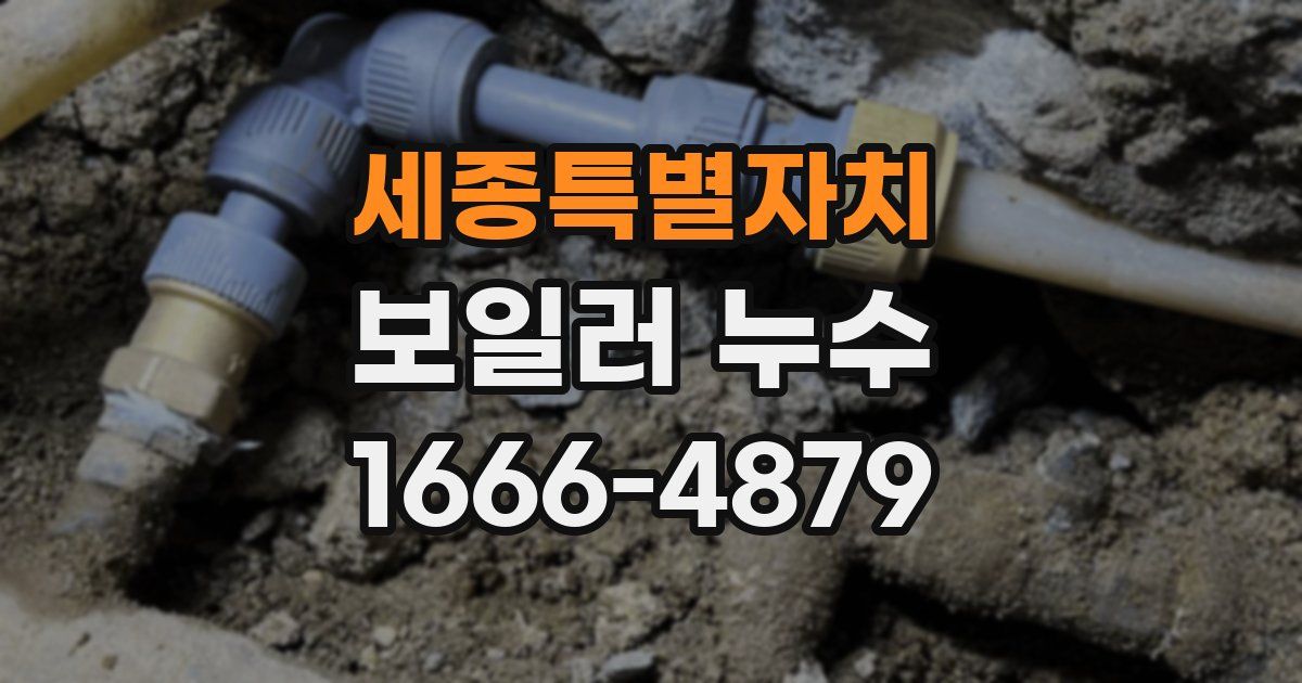 세종특별자치 보일러 누수