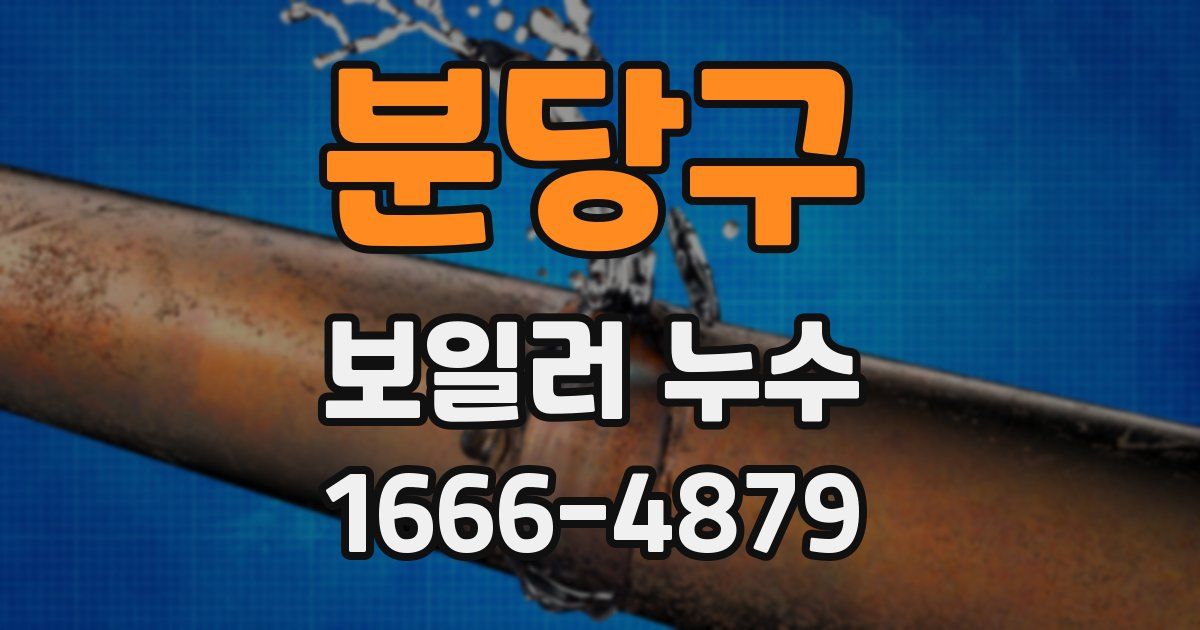분당구 보일러 누수