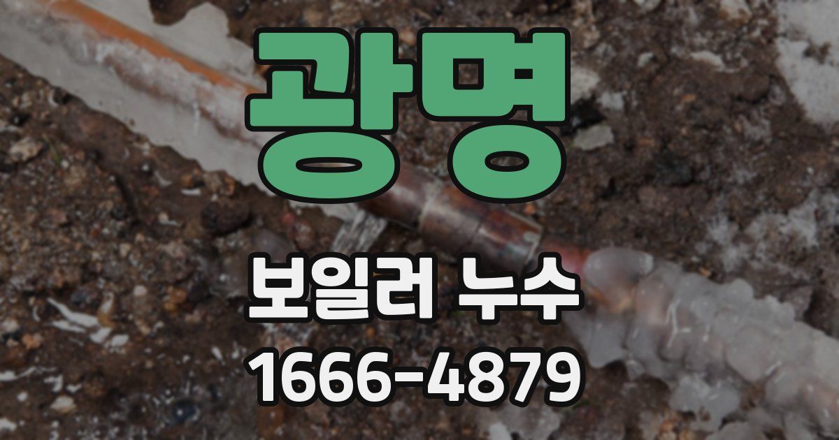 광명 보일러 누수