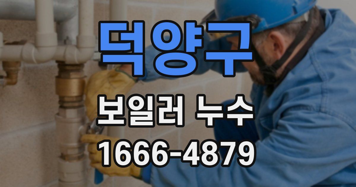 덕양구 보일러 누수
