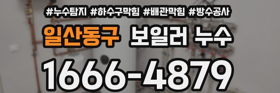 일산동구 보일러 누수