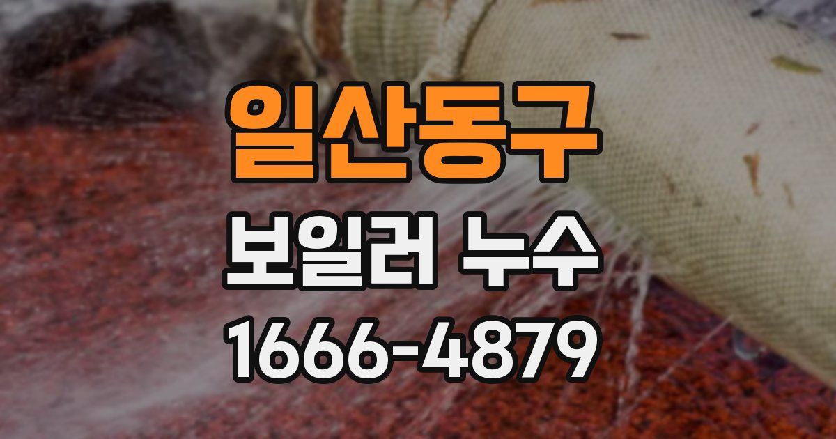 일산동구 보일러 누수