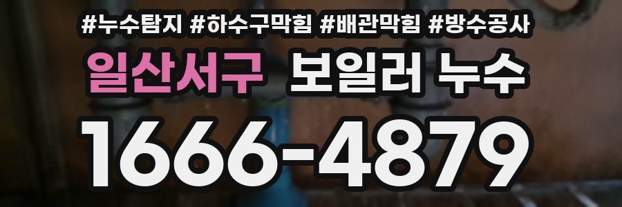 일산서구 보일러 누수