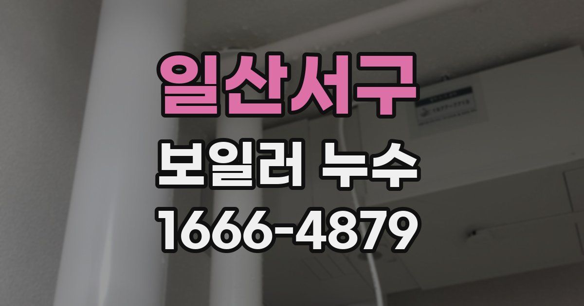 일산서구 보일러 누수
