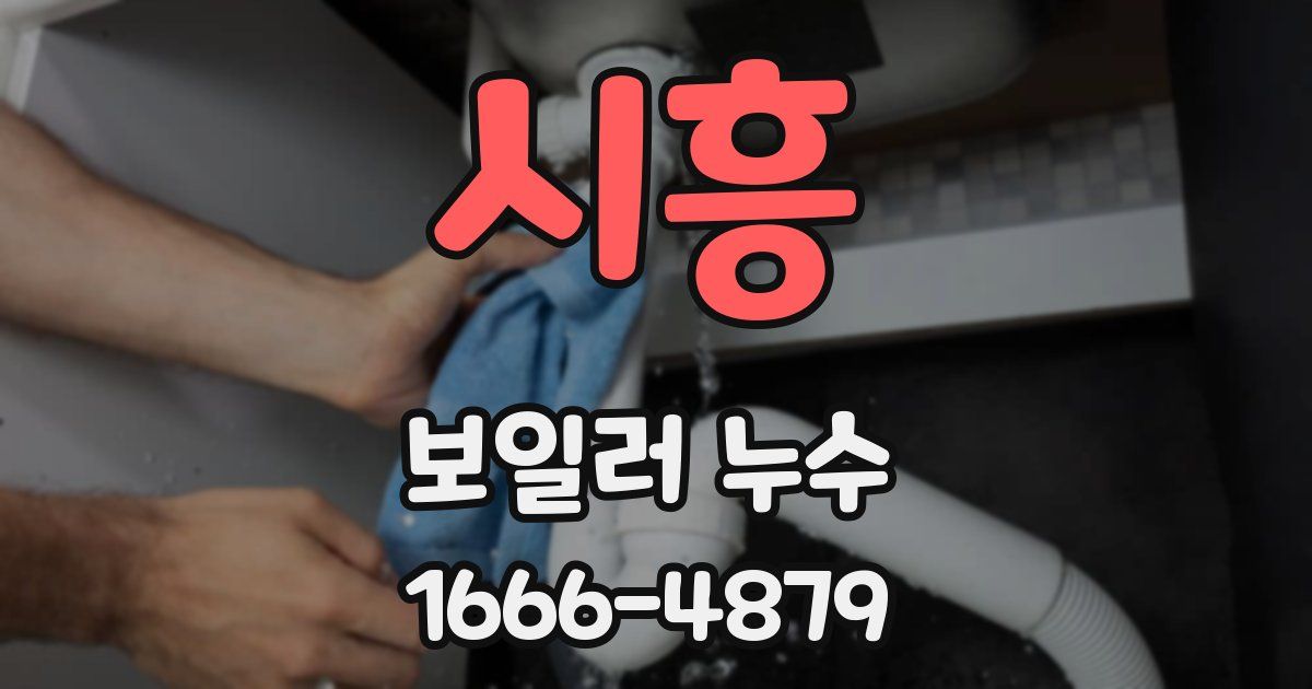 시흥 보일러 누수