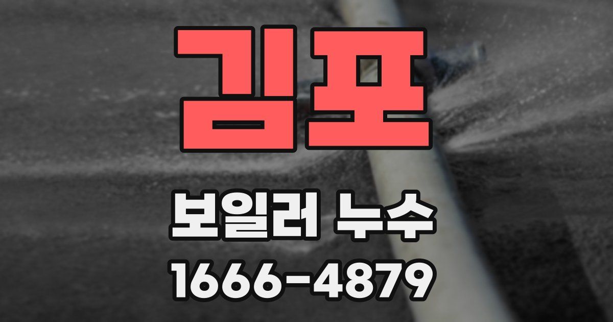 김포 보일러 누수