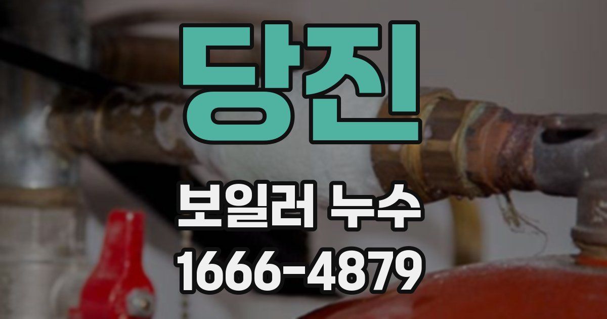 당진 보일러 누수