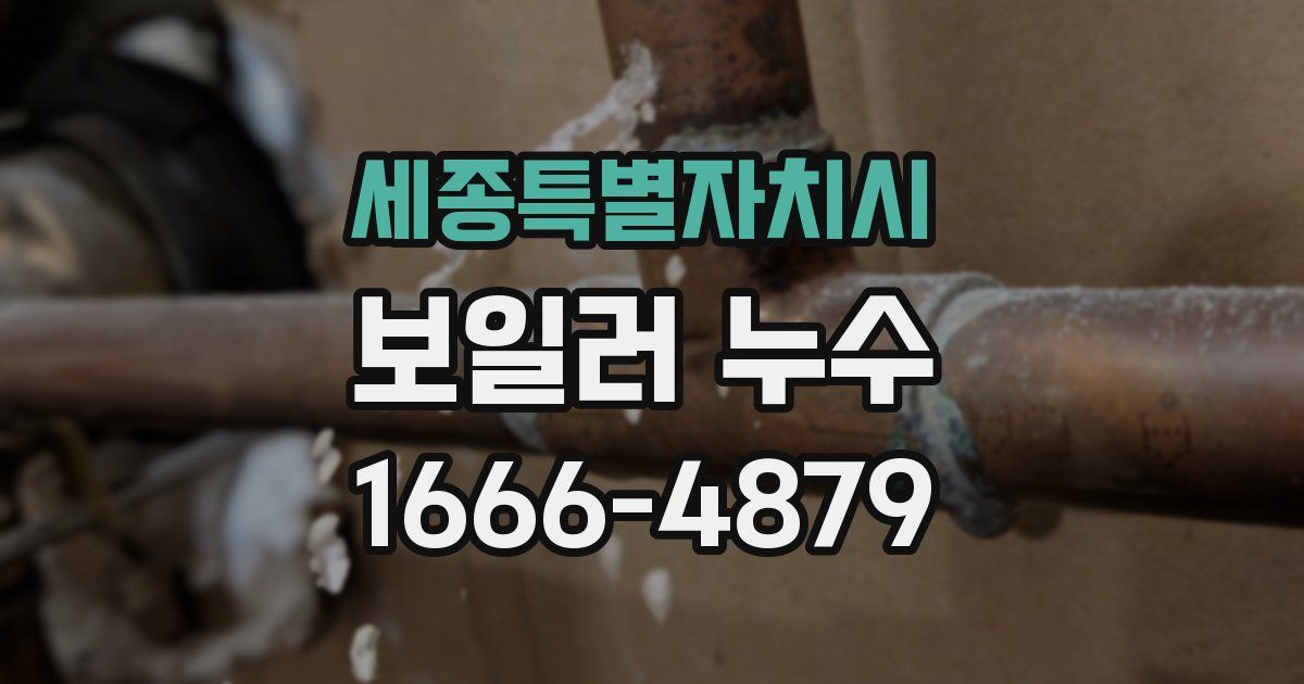 세종특별자치시 보일러 누수