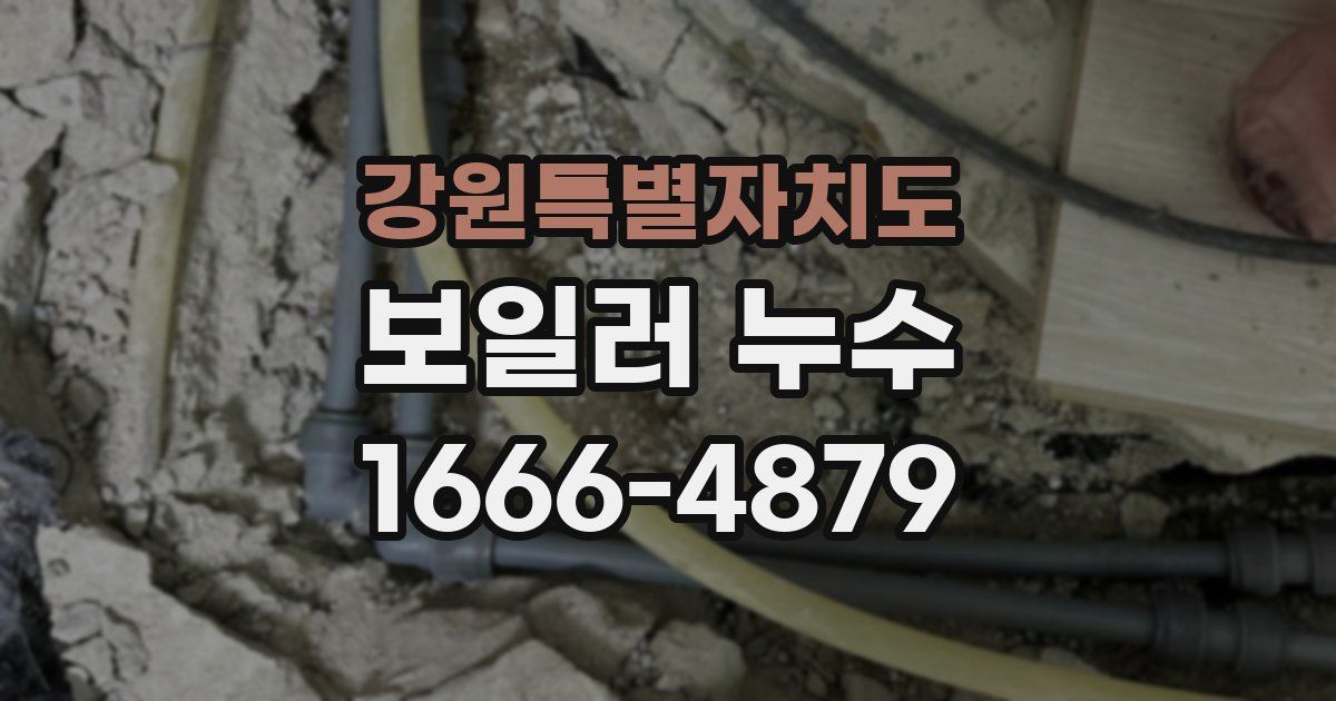 강원특별자치도 보일러 누수
