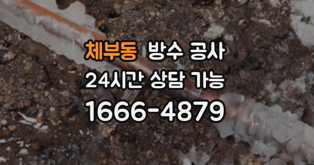 체부동 누수탐지