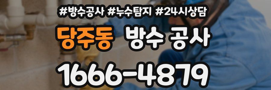 당주동 방수 공사