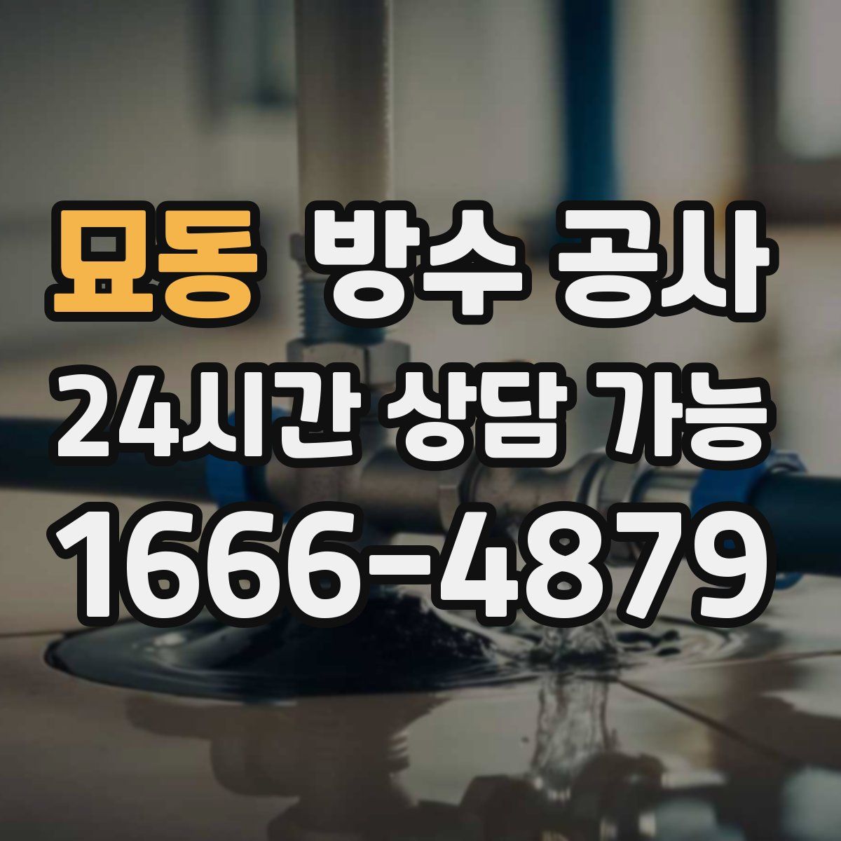 묘동 방수