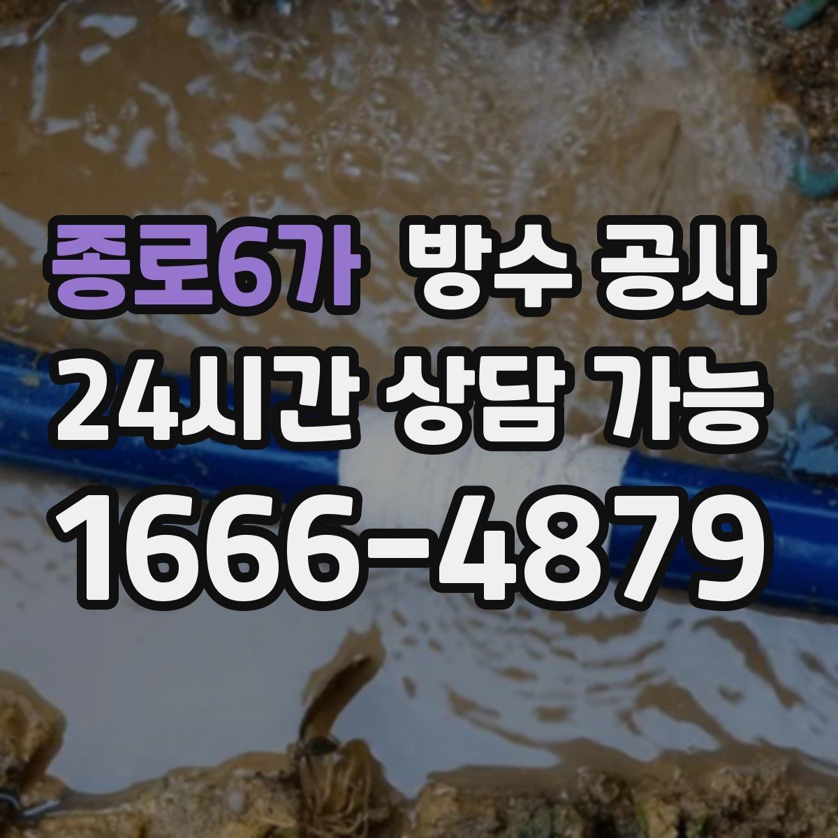 종로6가 방수 공사 지하 백화가 번지는 이유