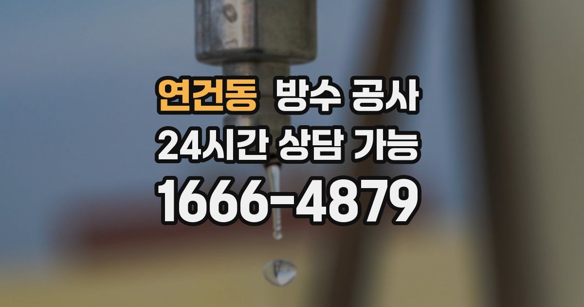 연건동 누수탐지