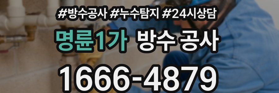 명륜1가 방수 공사