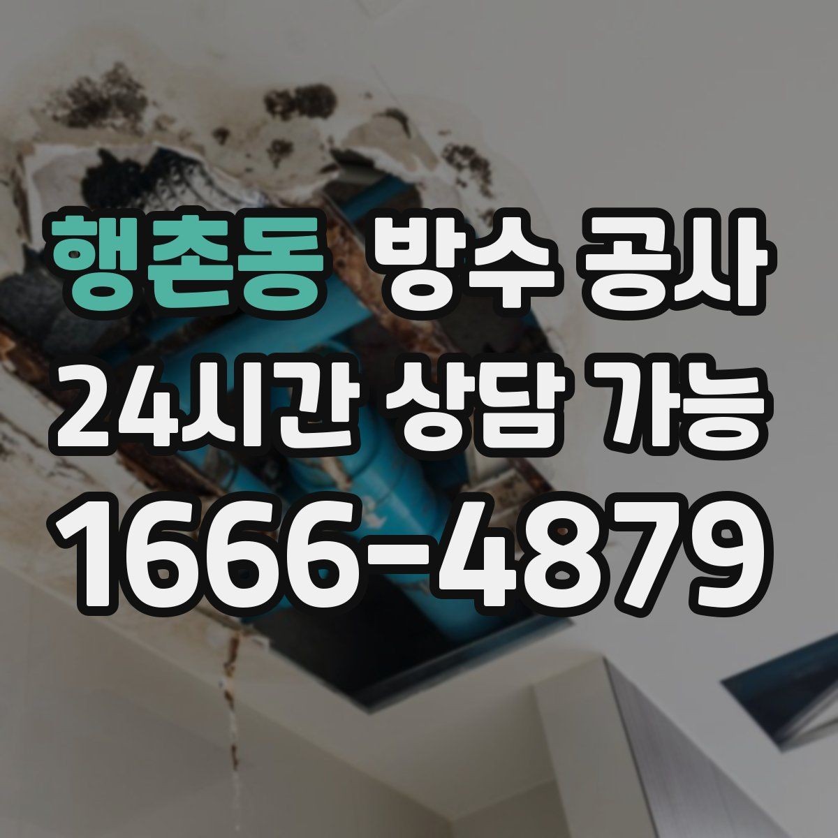 행촌동 방수 공사 테라스 바닥이 끈적할 때 점검