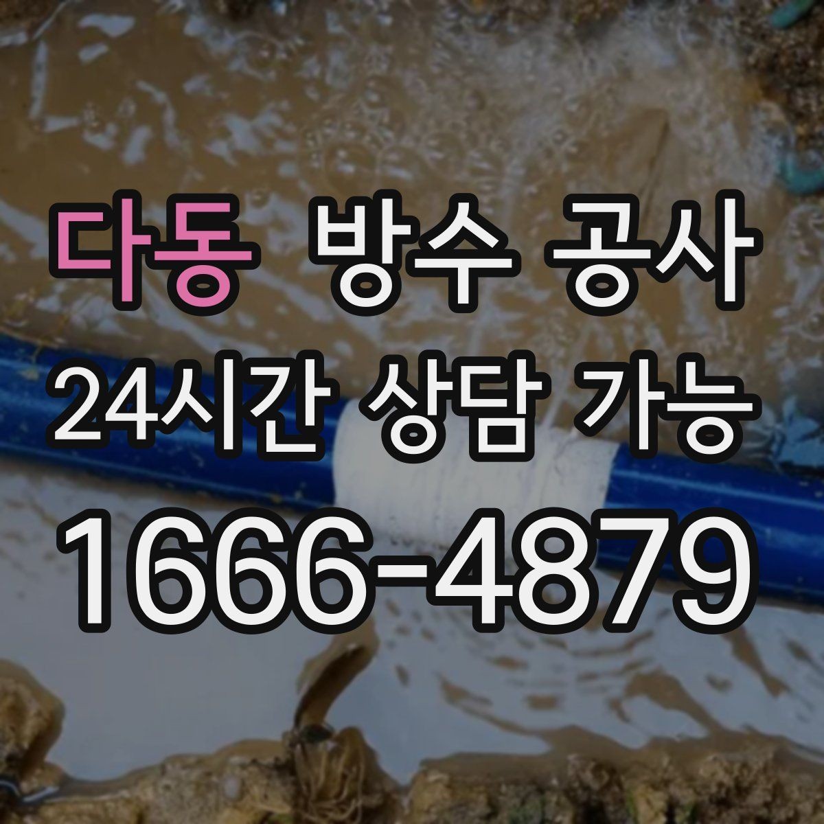 다동 방수 공사 욕실 재시공이 필요한 기준