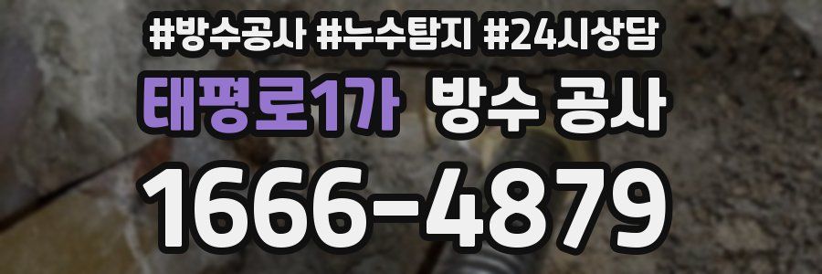 태평로1가 방수 공사