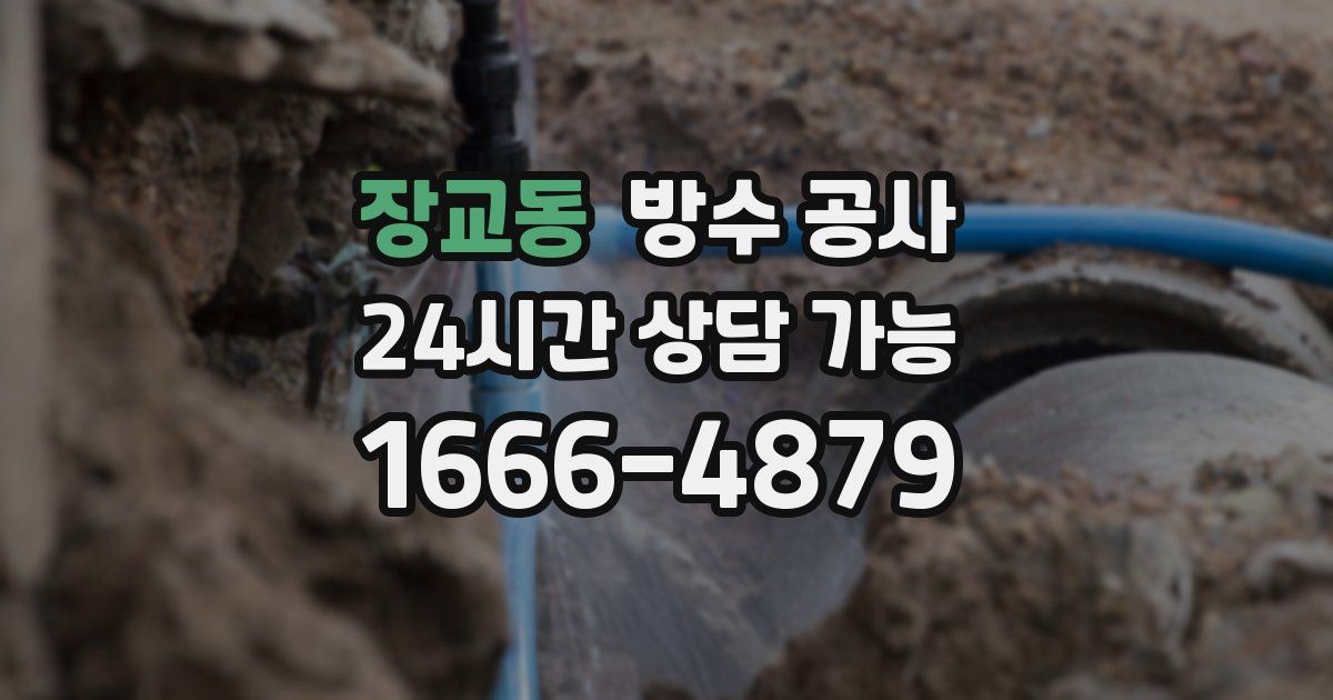 장교동 누수탐지