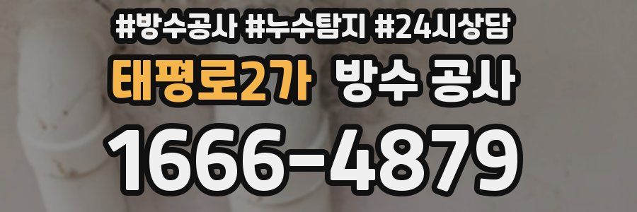 태평로2가 방수 공사