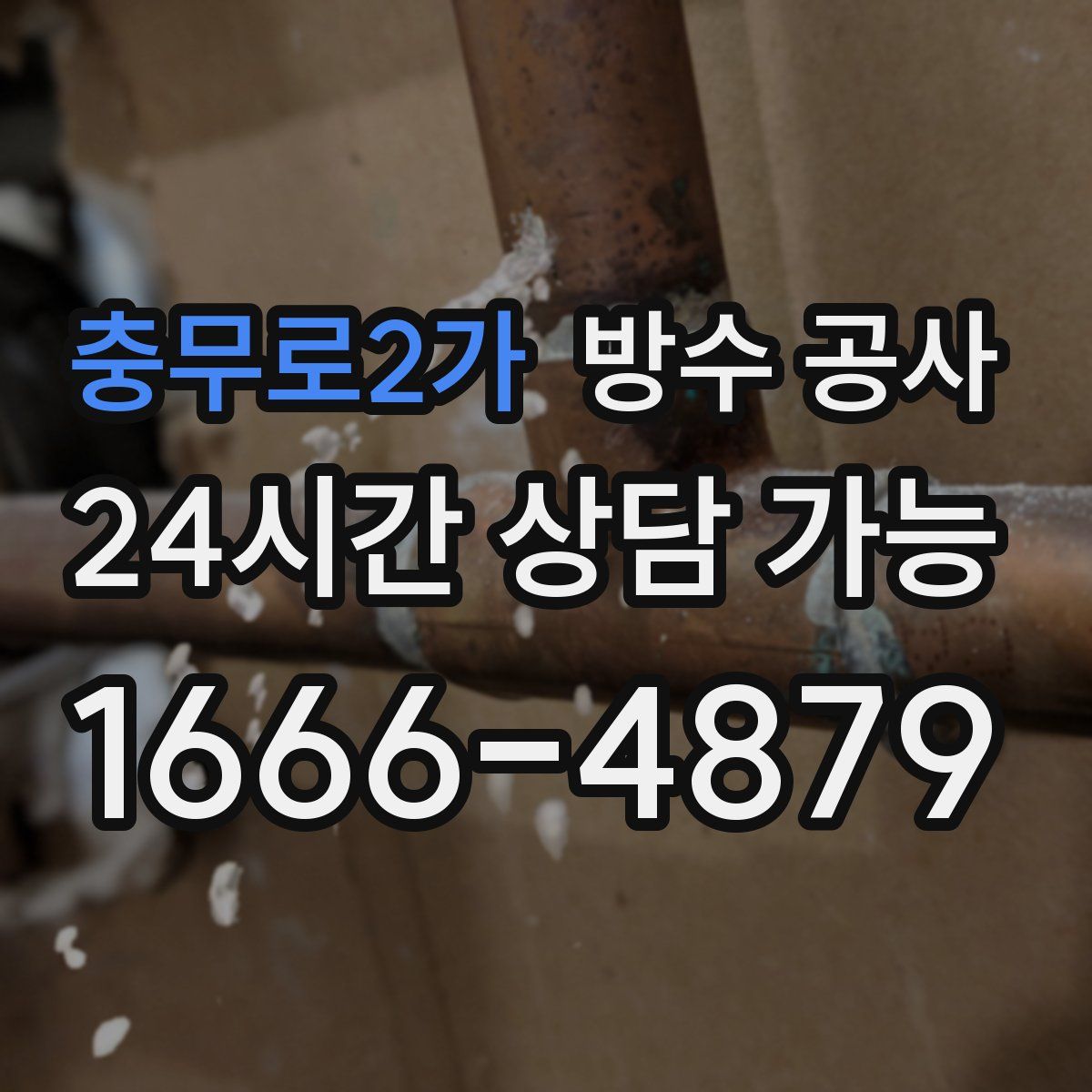 충무로2가 방수