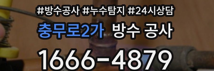 충무로2가 방수 공사