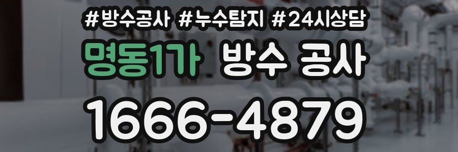 명동1가 방수 공사