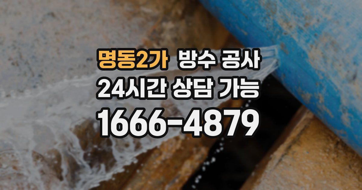 명동2가 누수탐지