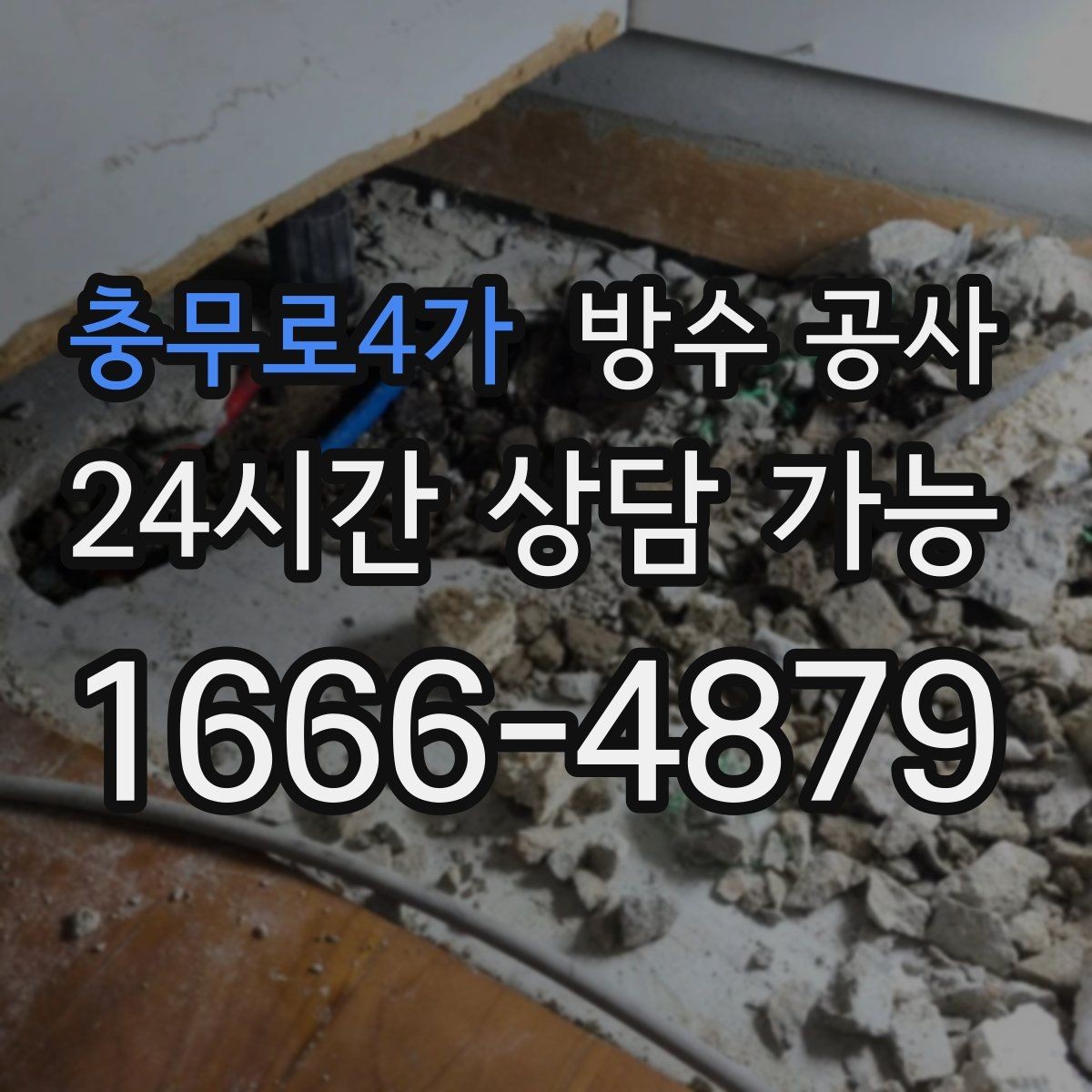 충무로4가 방수 공사 욕실 벽 하단 곰팡이 재발 줄이기