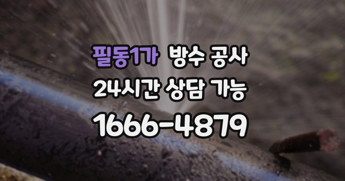 필동1가 누수탐지