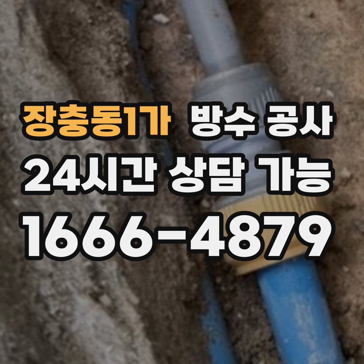 장충동1가 방수