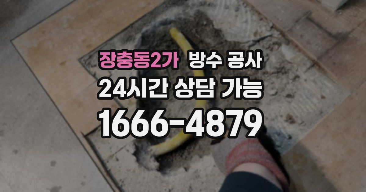 장충동2가 누수탐지