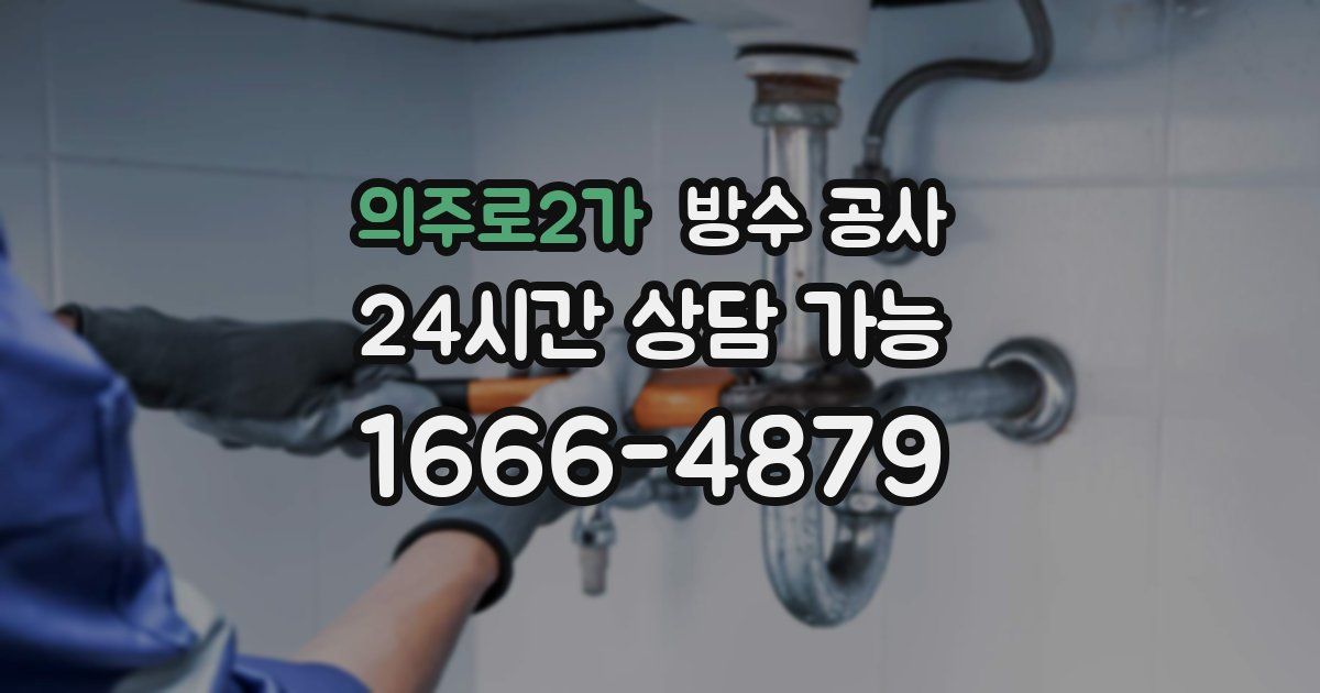 의주로2가 누수탐지