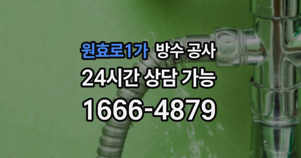 원효로1가 누수탐지