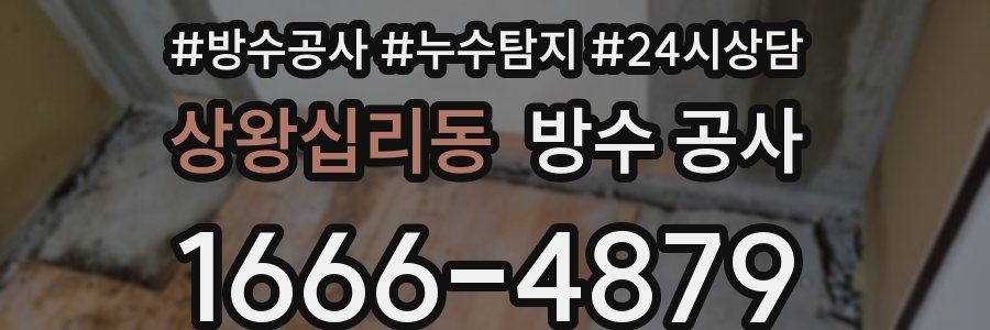 상왕십리동 방수 공사