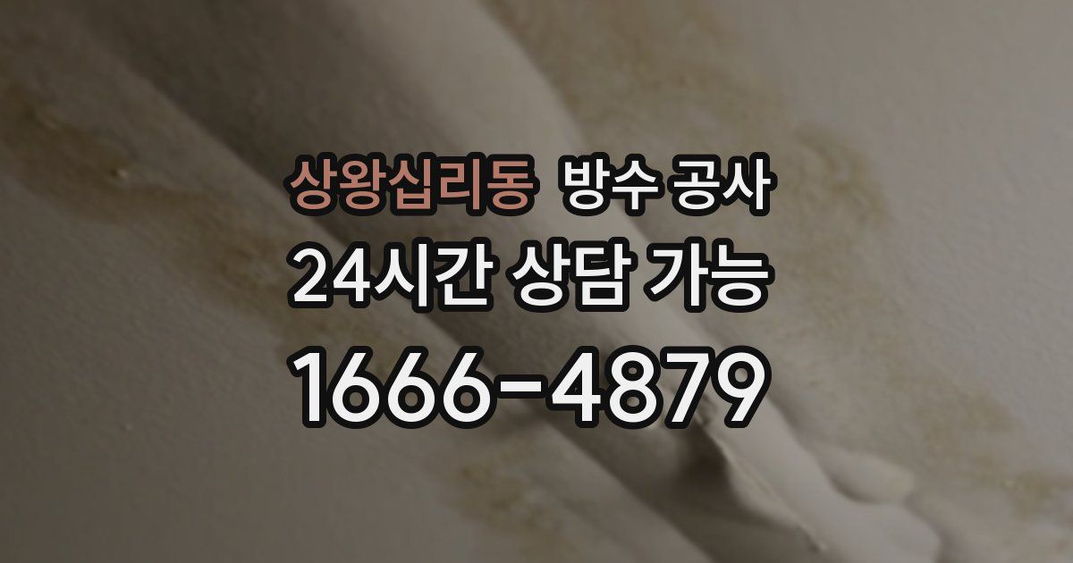 상왕십리동 누수탐지